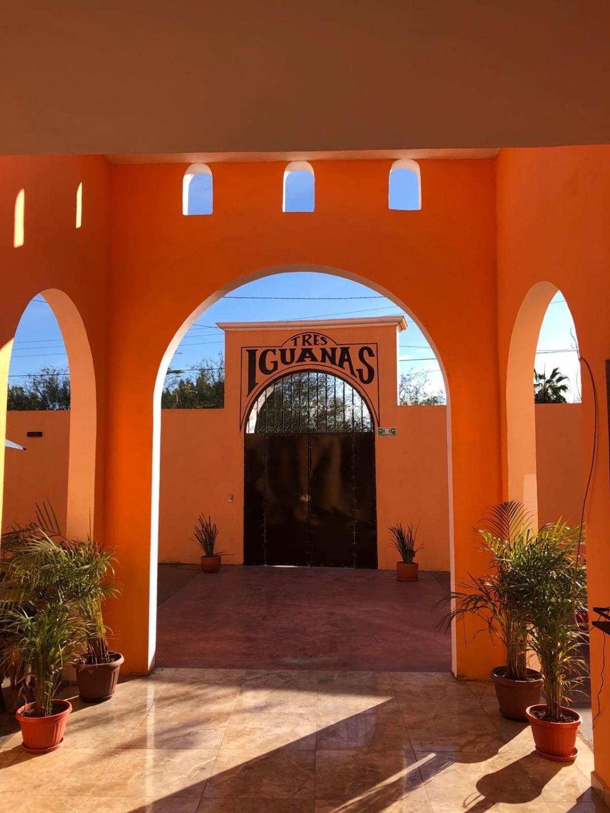 לורטו Tres Iguanas Apart Hotel - New, Cozy & Spacious Flats, Short Walk To Beach מראה חיצוני תמונה