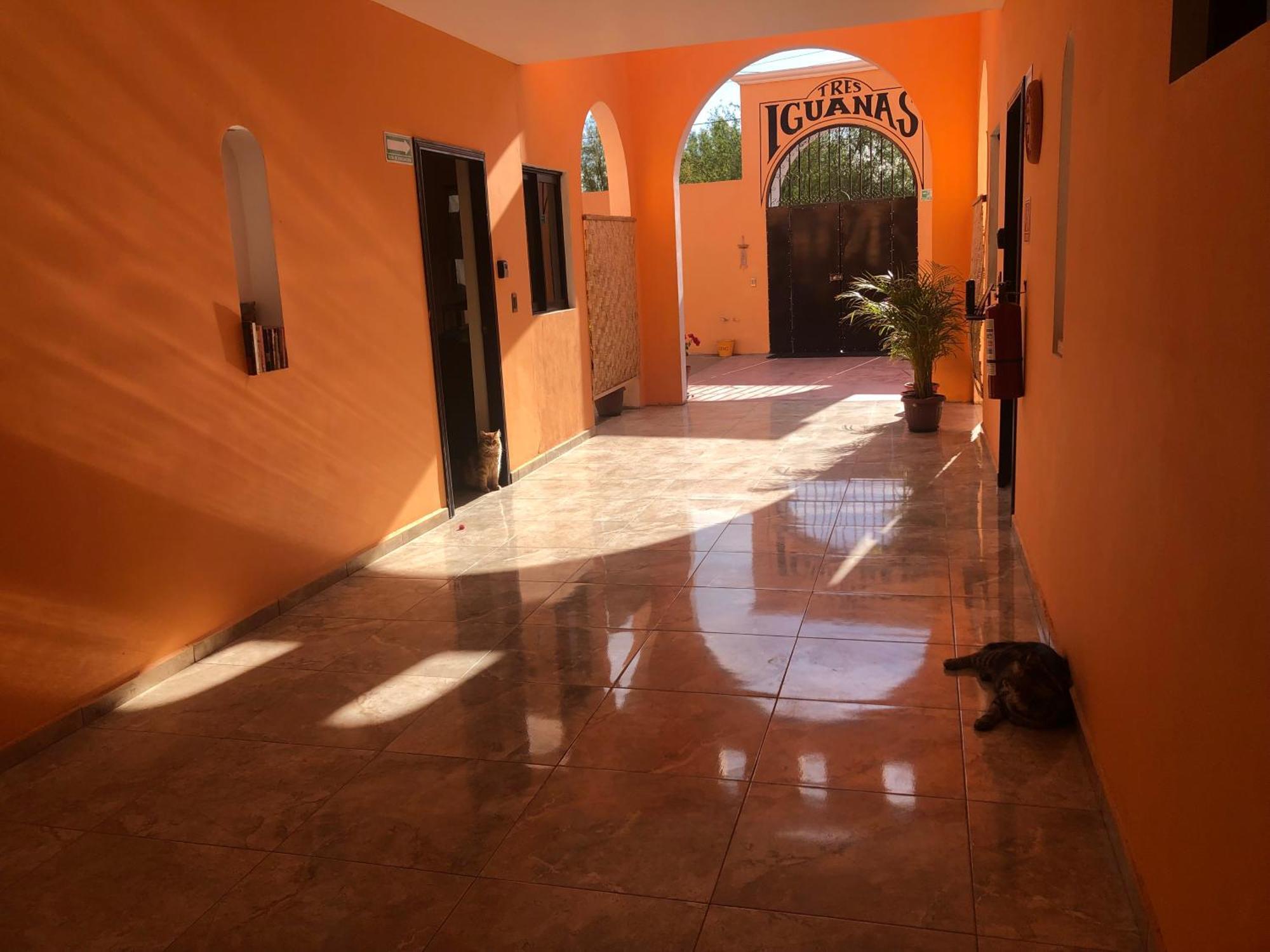 לורטו Tres Iguanas Apart Hotel - New, Cozy & Spacious Flats, Short Walk To Beach מראה חיצוני תמונה