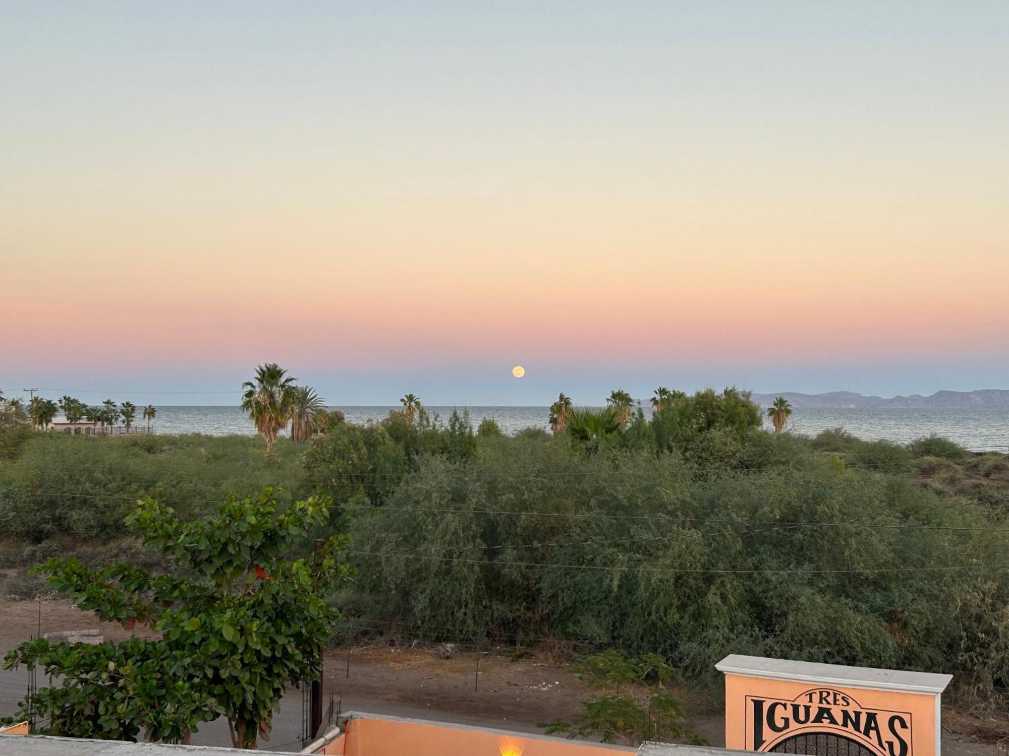 לורטו Tres Iguanas Apart Hotel - New, Cozy & Spacious Flats, Short Walk To Beach מראה חיצוני תמונה